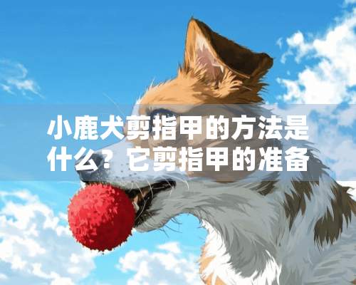 小鹿犬剪指甲的方法是什么？它剪指甲的准备工具是什么？