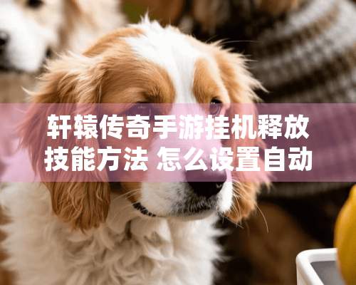 轩辕传奇手游挂机释放技能方法 怎么设置自动放技能