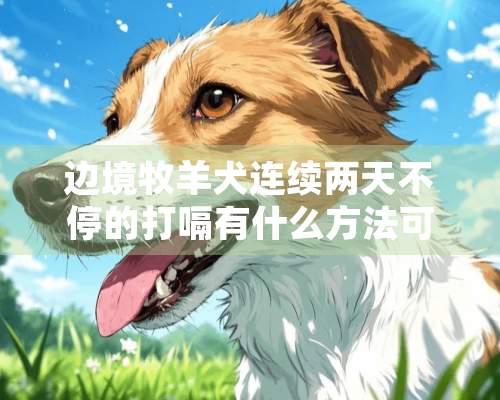 边境牧羊犬连续两天不停的打嗝有什么方法可以治愈