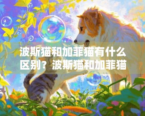 波斯猫和加菲猫有什么区别？波斯猫和加菲猫的区别介绍