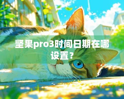 坚果pro3时间日期在哪设置？