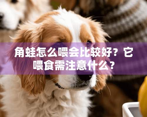 角蛙怎么喂会比较好？它喂食需注意什么？