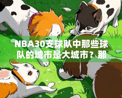 NBA30支球队中那些球队的城市是大城市？那些是小城市？