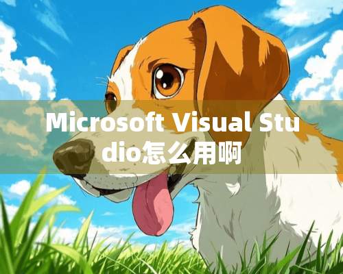 Microsoft Visual Studio怎么用啊