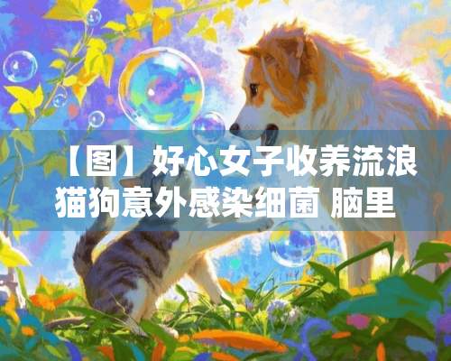 【图】好心女子收养流浪猫狗意外感染细菌 脑里长脓包！