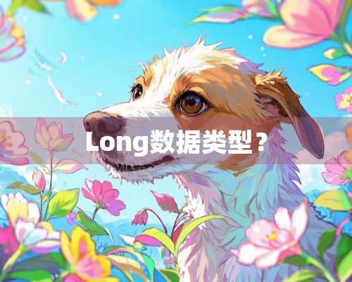 Long数据类型？