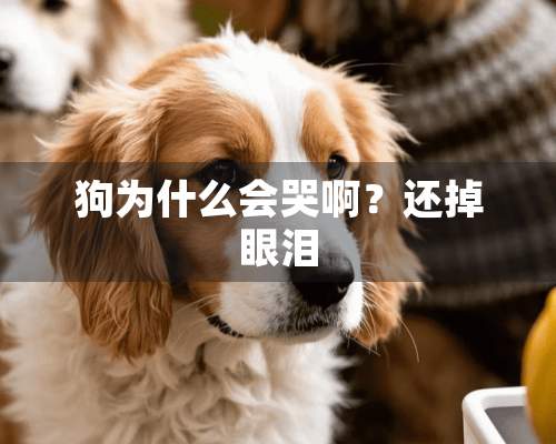 狗为什么会哭啊？还掉眼泪