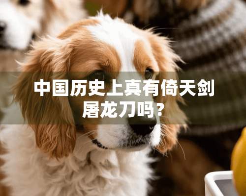 中国历史上真有倚天剑屠龙刀吗？