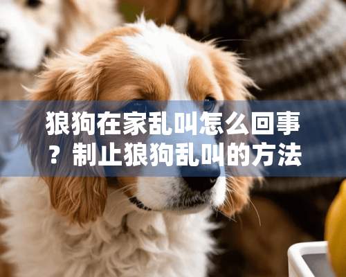 狼狗在家乱叫怎么回事？制止狼狗乱叫的方法介绍！