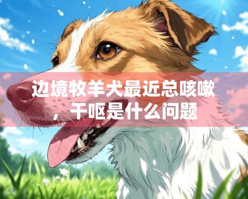 边境牧羊犬最近总咳嗽，干呕是什么问题