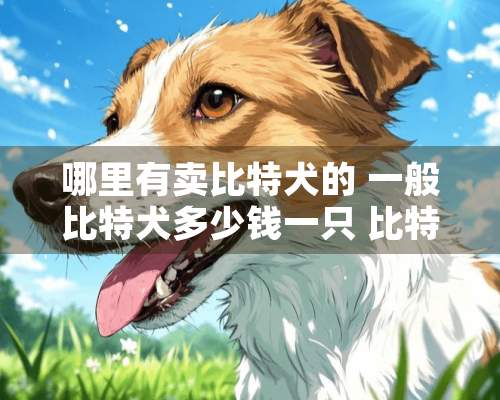 哪里有卖比特犬的 一般比特犬多少钱一只 比特