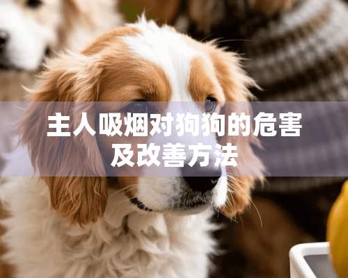 主人吸烟对狗狗的危害及改善方法