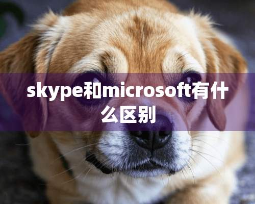 skype和microsoft有什么区别