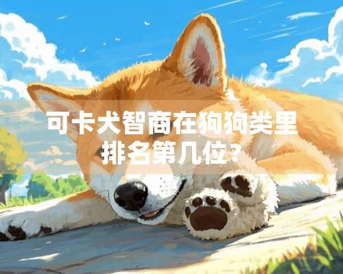 可卡犬智商在狗狗类里排名第几位？