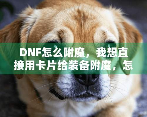 DNF怎么附魔，我想直接用卡片给装备附魔，怎么附魔？