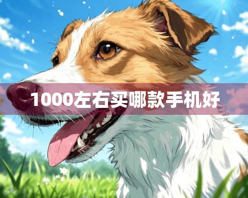 1000左右买哪款手机好