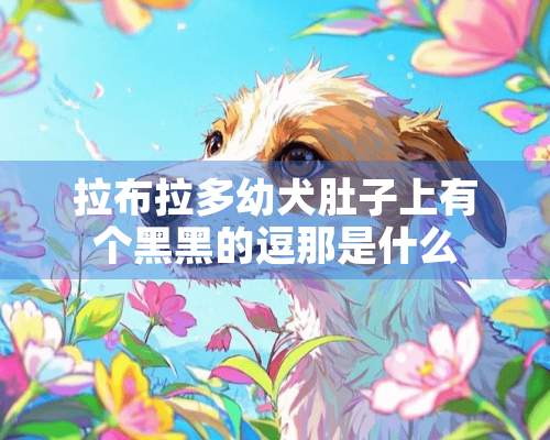 拉布拉多幼犬肚子上有个黑黑的逗那是什么