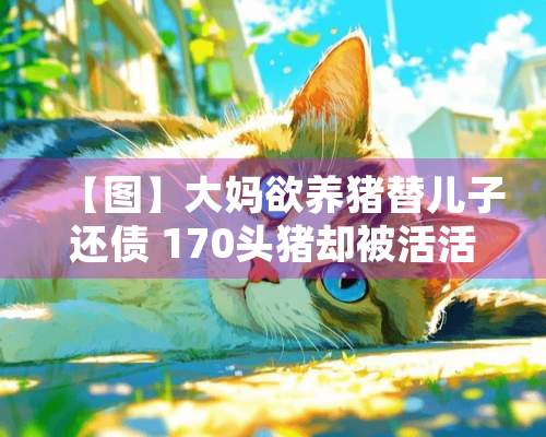 【图】大妈欲养猪替儿子还债 170头猪却被活活烧死