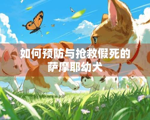 如何预防与抢救假死的萨摩耶幼犬