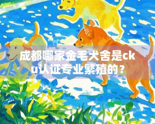 成都哪家金毛犬舍是cku认证专业繁殖的？