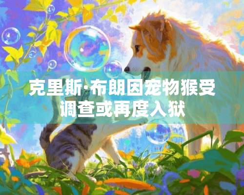 克里斯·布朗因宠物猴受调查或再度入狱