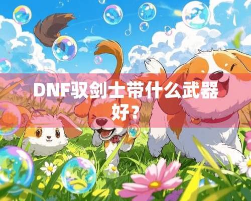 DNF驭剑士带什么**好？