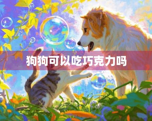 狗狗可以吃巧克力吗