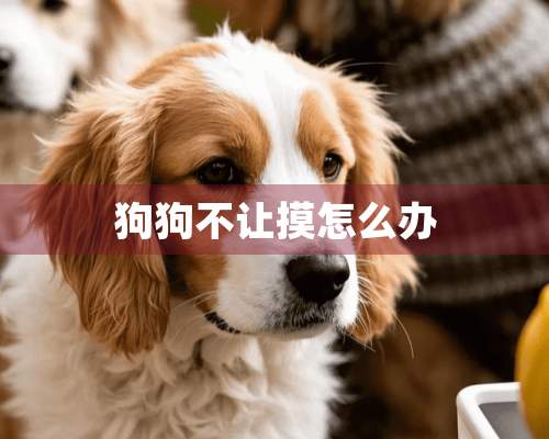 狗狗不让摸怎么办