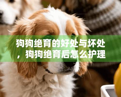 狗狗绝育的好处与坏处，狗狗绝育后怎么护理