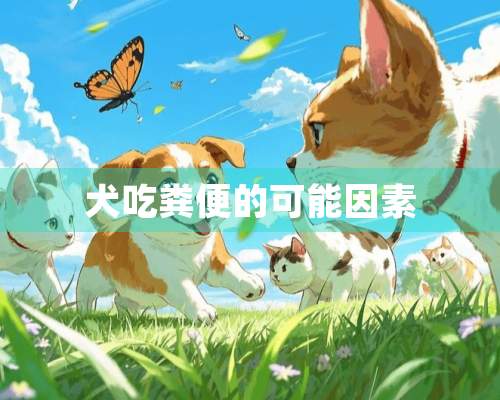 犬吃粪便的可能因素