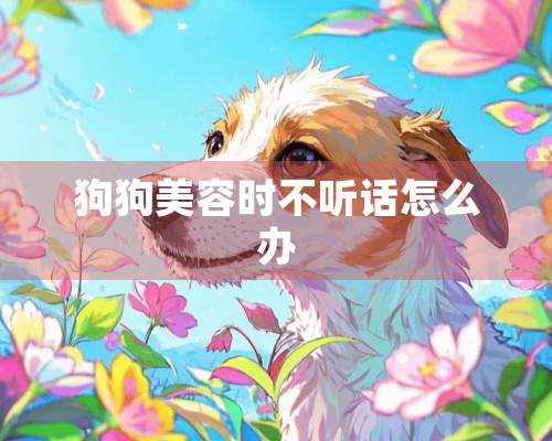 狗狗美容时不听话怎么办