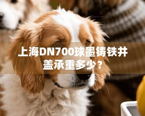 上海DN700球墨铸铁井盖承重多少？