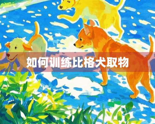 如何训练比格犬取物