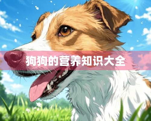 狗狗的营养知识大全