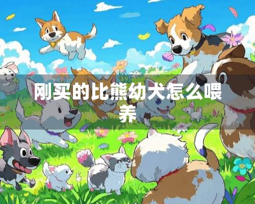 刚买的比熊幼犬怎么喂养