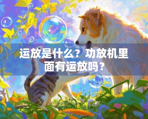 运放是什么？功放机里面有运放吗？