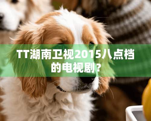 TT湖南卫视2015八点档的电视剧？