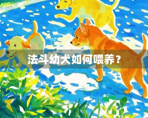 法斗幼犬如何喂养？