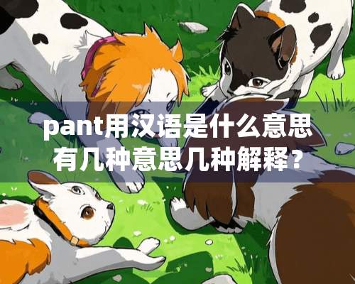 pant用汉语是什么意思有几种意思几种解释？