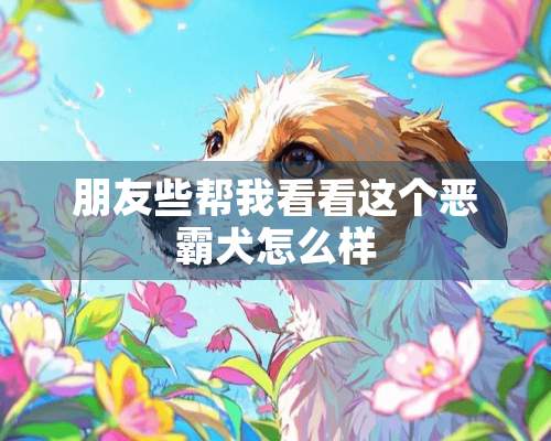 朋友些帮我看看这个恶霸犬怎么样