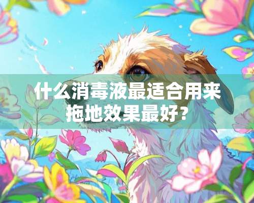 什么消毒液最适合用来拖地效果最好？