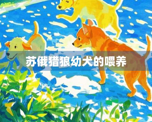 苏俄猎狼幼犬的喂养