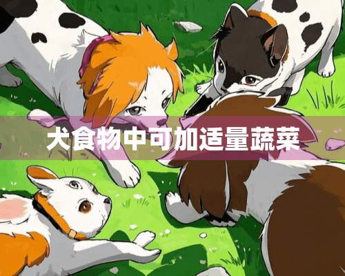 犬食物中可加适量蔬菜