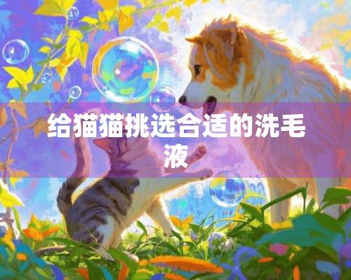 给猫猫挑选合适的洗毛液