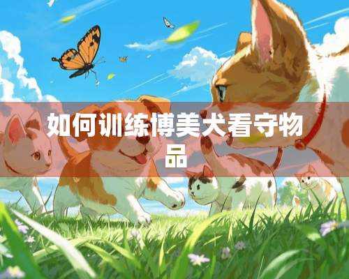 如何训练博美犬看守物品