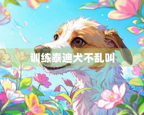 训练泰迪犬不乱叫