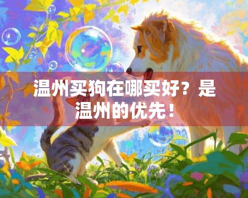 温州买狗在哪买好？是温州的优先！