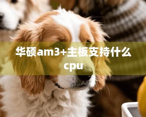 华硕am3+主板支持什么cpu