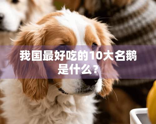 我国最好吃的10大名鹅是什么？