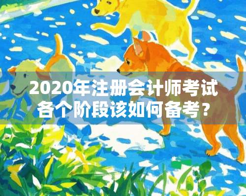 2020年注册会计师考试各个阶段该如何备考？